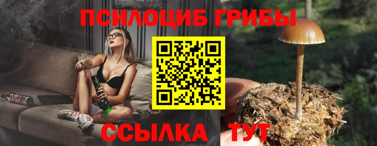 Галлюциногенные грибы Cubensis  Галлюциногенные грибы ЛСД  Вход с VPN  Куйбышев 